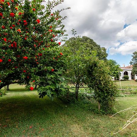 All'Ombra Del Bagolaro Taglio di Po Kültér fotó