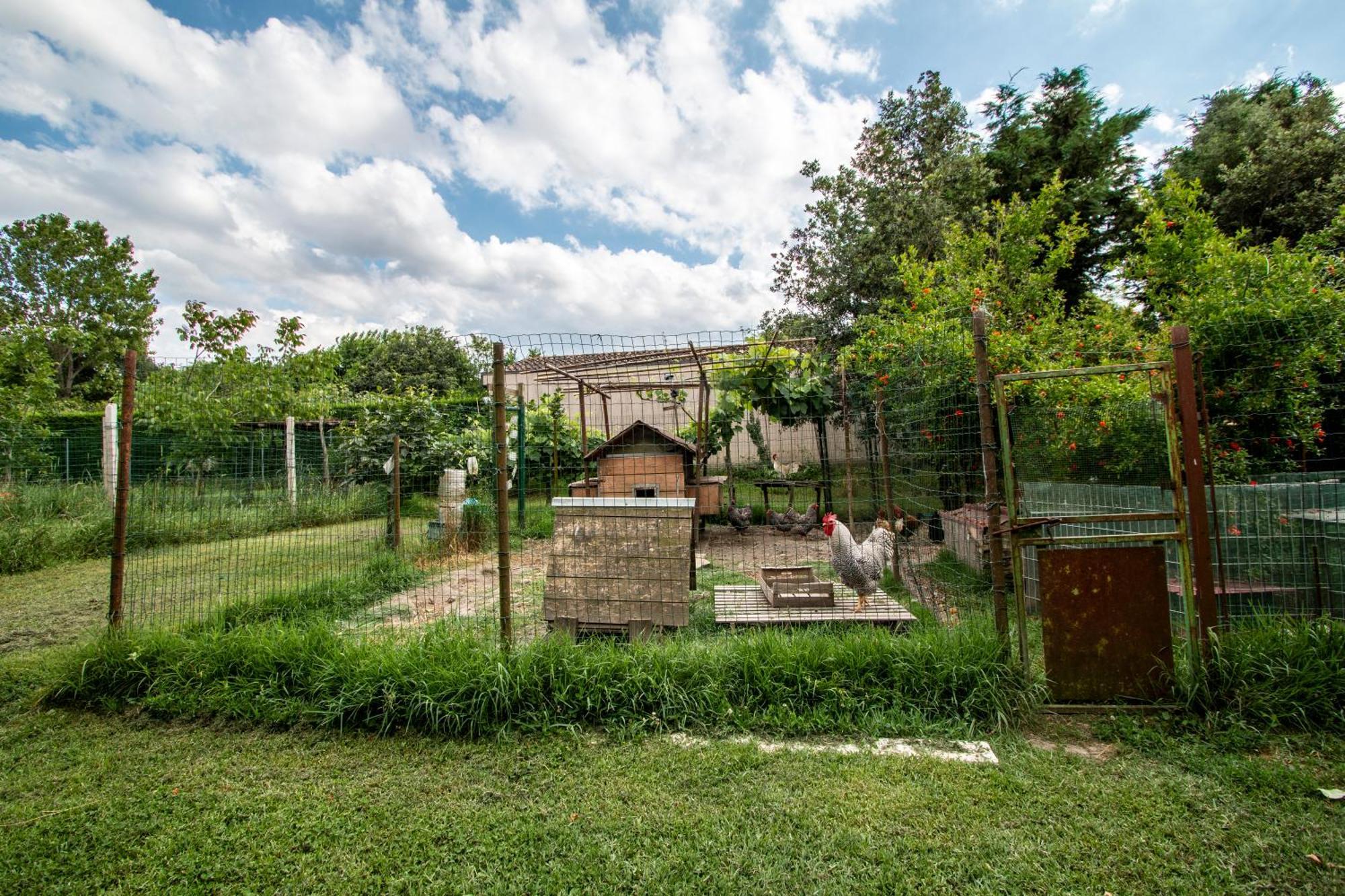 All'Ombra Del Bagolaro Taglio di Po Kültér fotó